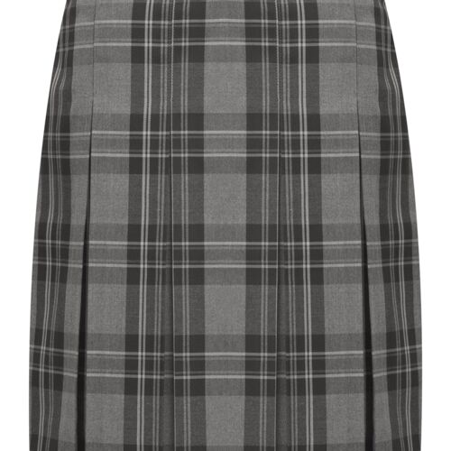 Tartan Pleated Skirt Junior Thumbnail