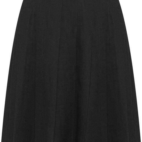 Davenport Knife Pleat Skirt Junior Thumbnail