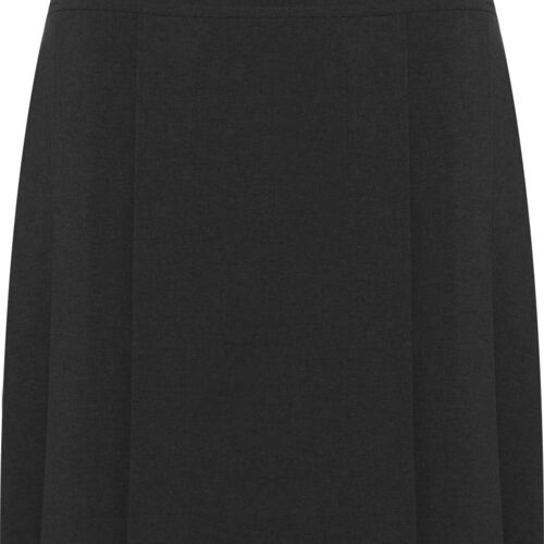 Henley Pleated Skirt Junior Thumbnail