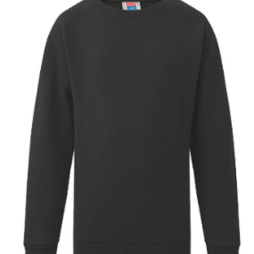 851 - Crew Neck Eco Sweatshirt (Juniors) Thumbnail